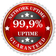 99.9% Badge